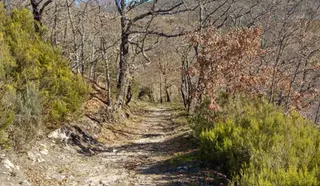Sendero en Zamora.ARCHIVO