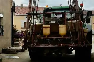 El Perdigón