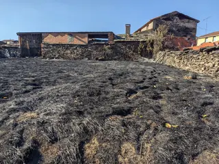 Las heridas del fuego en Losacio (7)