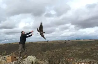 La conservación de aves rapaces en el Duero, objetivo del proyecto Rupis