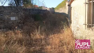 UPL alerta del riesgo de incendio por el abandono de solares y callejones en Almeida de Sayago y exige una limpieza urgente