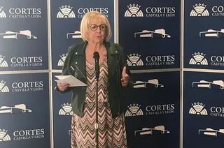 PSOE Zamora. Inmaculada García Rioja. Procuradora Cortes CyL 2019