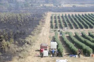 Incendio de Puercas. La situación entre Abejera y Riofrío | José Luis Leal. ICAL