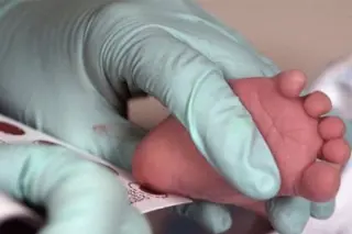 Prueba del talón