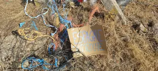 Estado en el que se encuentra la zona en la que tuvo lugar la rave ilegal de Argusino (20)