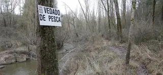 Establecidas las normas reguladoras de la pesca