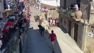 Encierro Fermoselle