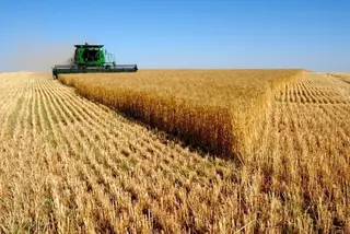      Una cosechadora trabaja en el campo. Archivo