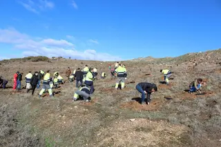 Reforesta Zamora 8