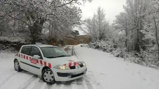 Nevadas Zamora Diputación (1)