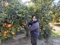 Joven agricultor LA UNIÓ Archivo