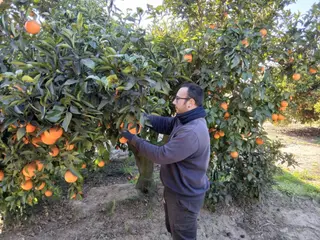 Joven agricultor LA UNIÓ Archivo