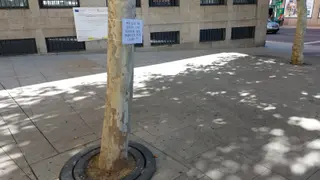 Bancos Pza Alemania