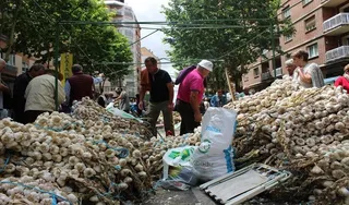 La Feria del Ajo cubre las tres cruces con 800 toneladas de "buen producto"