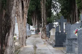 Cementerio de San Atilano. Archivo