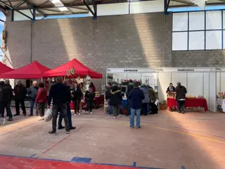 Feria Transfronteriza de San Miguel (1)