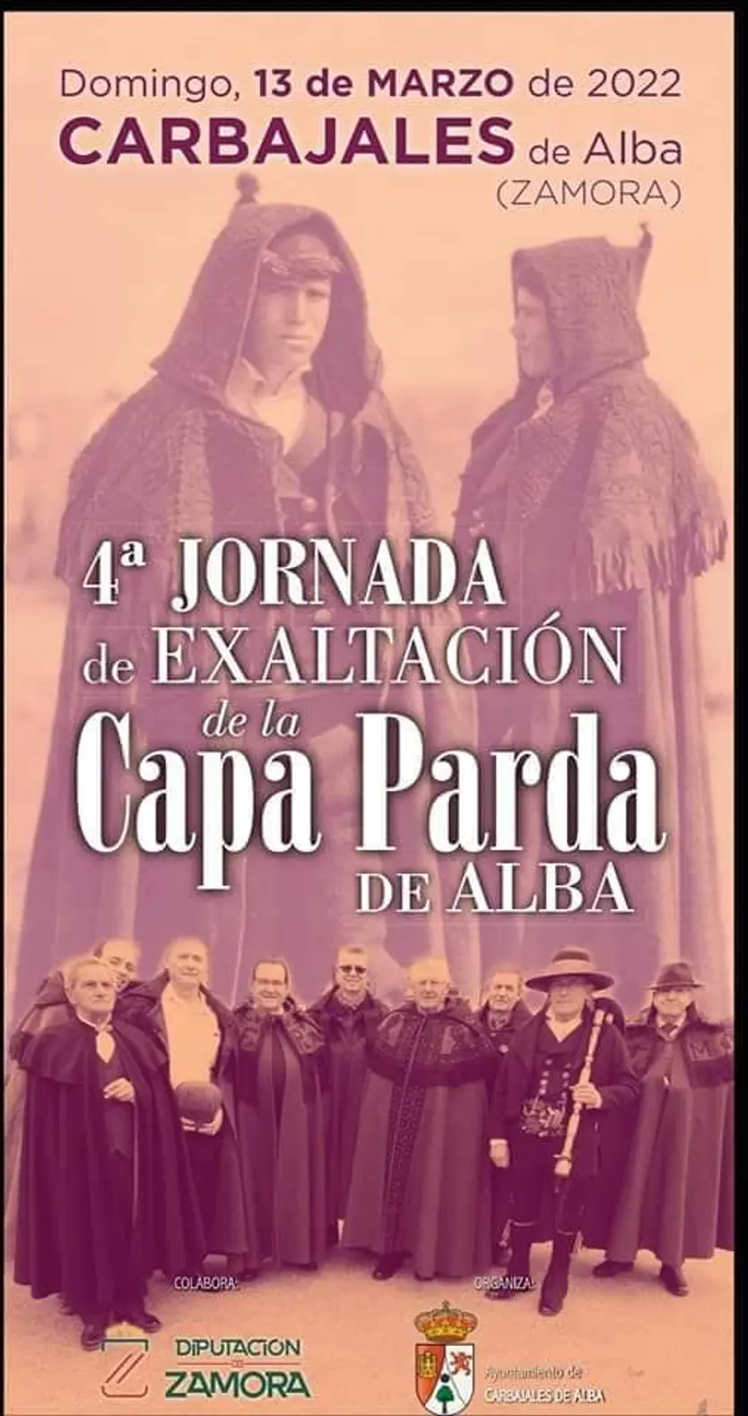 Cartel de la Exaltación de la Capa Parda