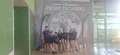 CD Natación San José Obrero