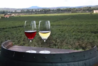 Vino tinto y vino blanco. EP.