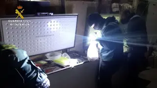 Desarticulada una banda organizada en Zamora dedicada al narcotráfico