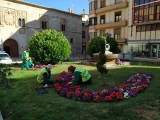 Flores 02