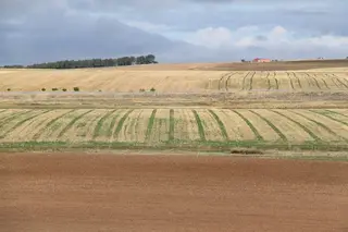 Terrenos agrícolas