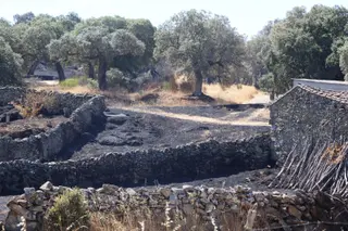 Consecuencias del incendio de Fermoselle en la localidad de Mámoles