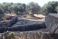 Consecuencias del incendio de Fermoselle en la localidad de Mámoles