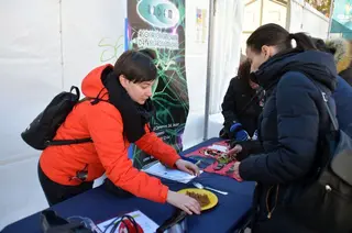 Azdem discapacidad zamora marina
