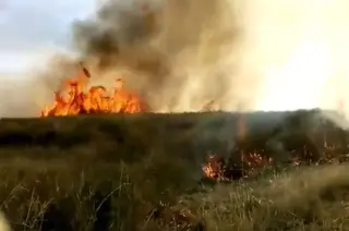 Incendio rabanales
