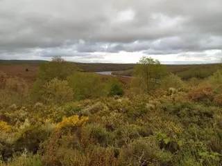 Vista sobre el Tera