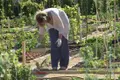 Agricultora. Archivo
