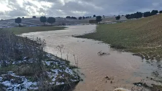 La parcela de El Cubo del Vino inundada