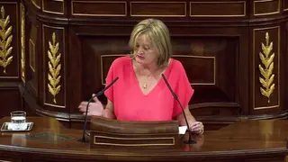 PSOECongreso.MarRomingueraDiputadaZamoraNoviembre2017Copy