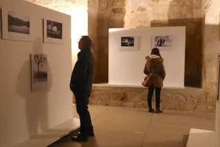 'Parque Florestal de Amarante, uma Obra Centenária’ - Fundación Rei Afonso Henriques (Zamora)