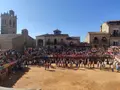 Imagen de los festejos taurinos de Fermoselle