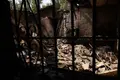 Casa calcinada por un incendio forestal-Europapress