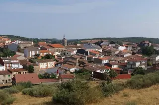 Alcañices