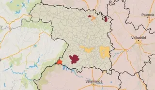 Estos son los municipios de Zamora con incidencia ‘problemática’ este jueves