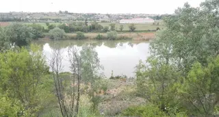Zona talada