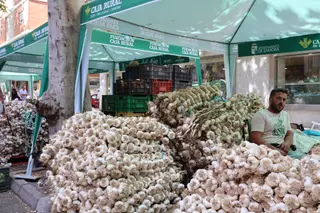 Feria del Ajo