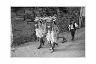 Estos son los ganadores de los Premios Diego de Losada de Poesía y Fotografía 2025 | 5