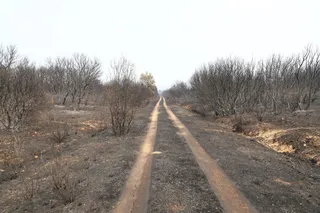 Paisaje calcinado de Molezuelas de la Carballeda | Pool Moncloa/Fernando Calvo