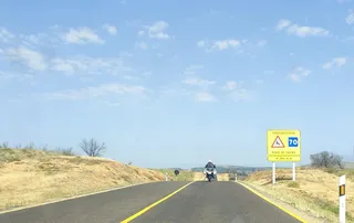Una señal de aviso de paso de fauna en la N 631 en Zamora