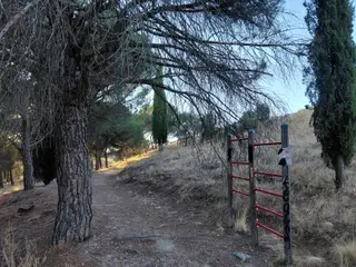 Proyecto Renaturaliza en Valorio