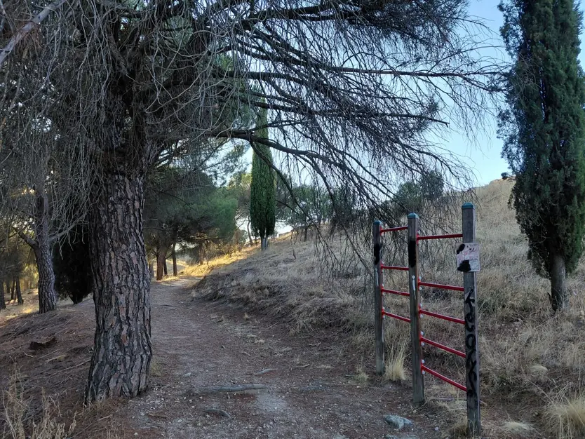 Proyecto Renaturaliza en Valorio. Foto Ahora Decide