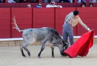 Abierto el plazo para participar en el ‘VI Bolsín Tierras de Zamora’