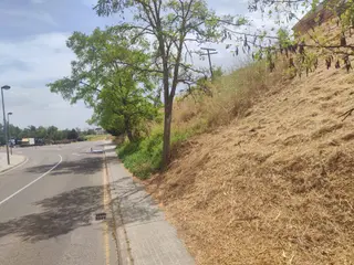 Imagen de los alrededores de la Ciudad Deportiva el pasado 2025