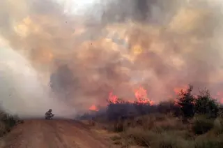 Incendio grisuela
