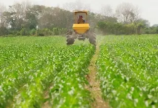Unión de Uniones hace un balance del 2014 con más sombras que luces en el campo
